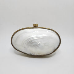 Big Mother of Pearl Shell Clutch