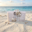 Morrocan Pearl Jaal Bag in white and silver with jaal embroidery