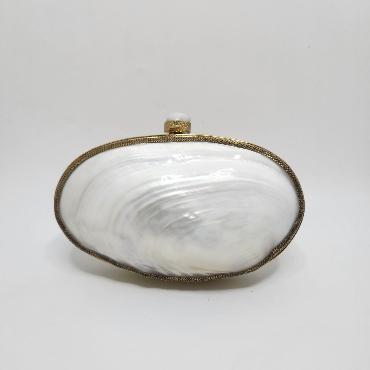 Big Mother of Pearl Shell Clutch