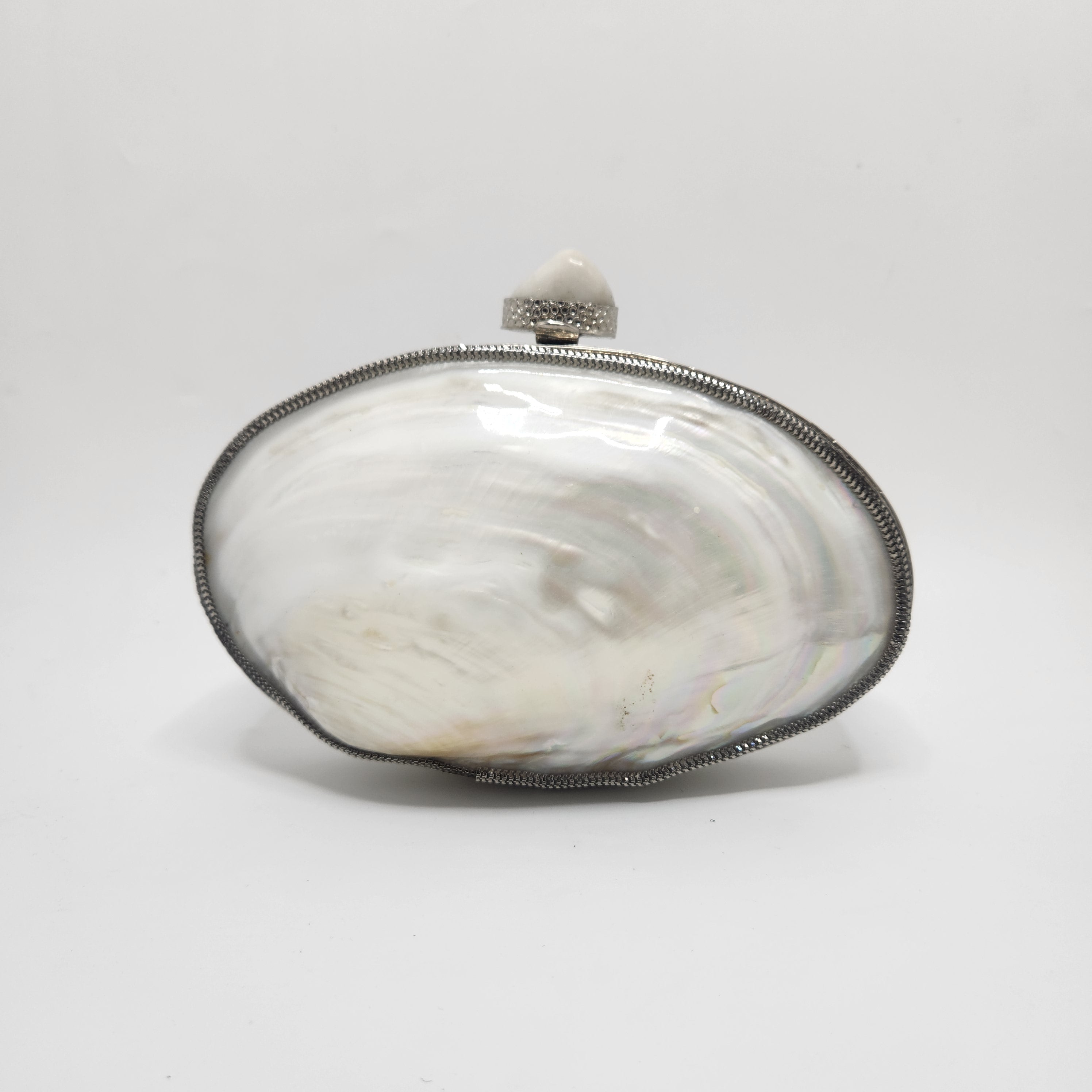 Big Mother of Pearl Shell Clutch