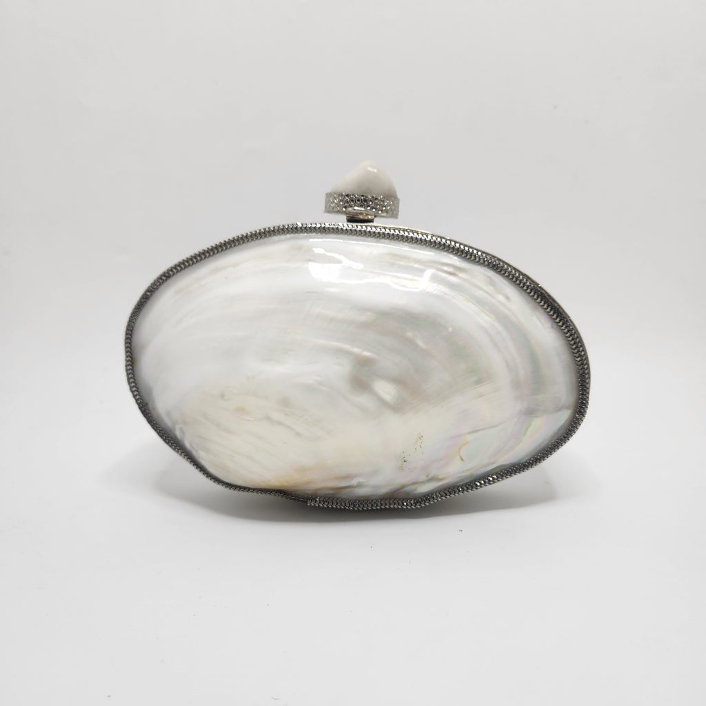 Big Mother of Pearl Shell Clutch