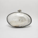 Big Mother of Pearl Shell Clutch