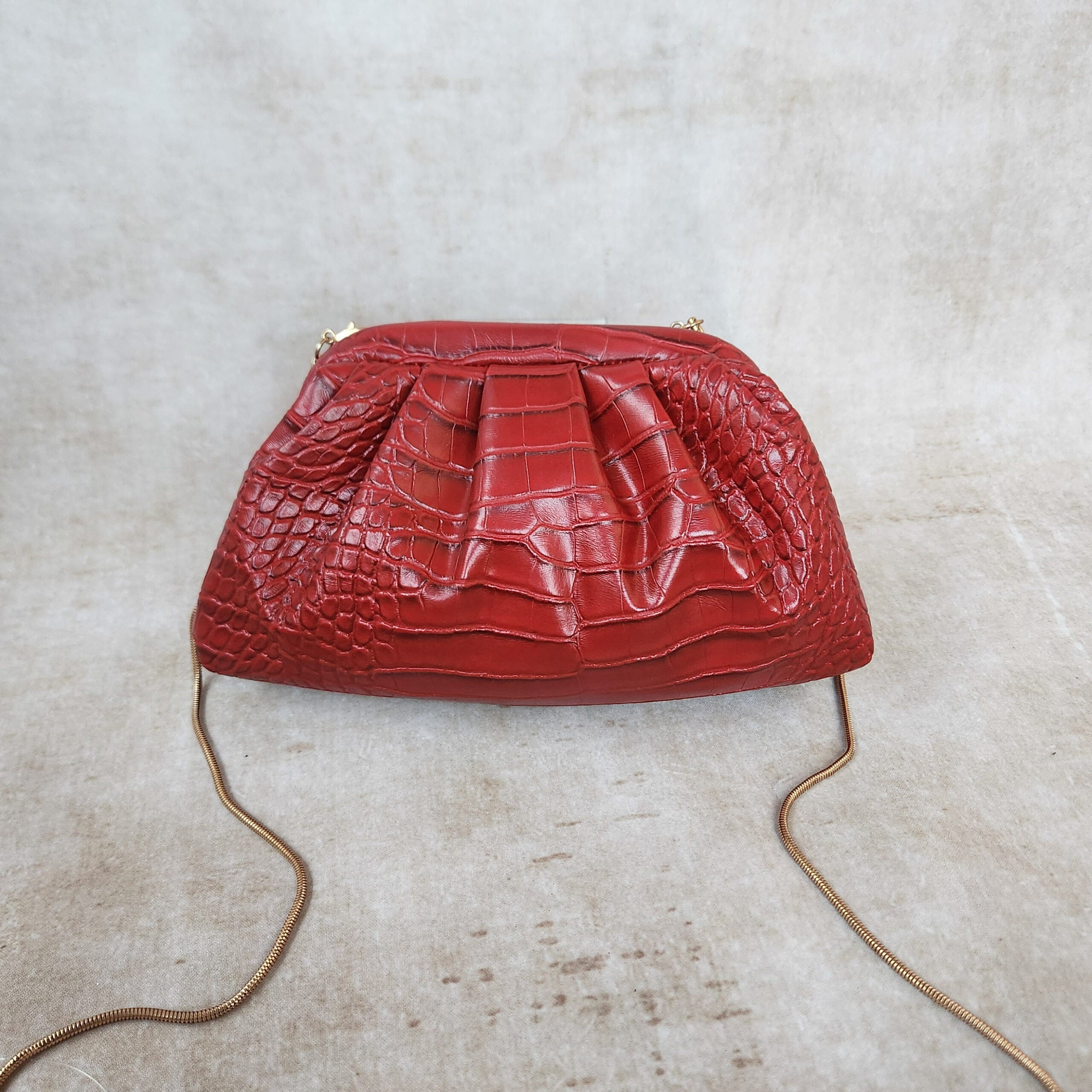 Lion Pouchette