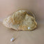 Pearl Drop Hasli