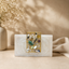 The Auor Clutch[white ]