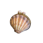 Sea shell mini clutch